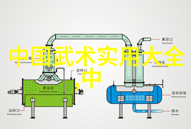 道教内丹学的发展源流-胡孚琛